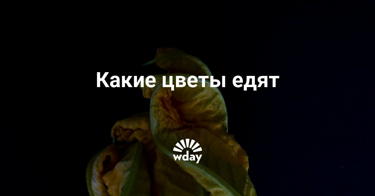 Красивые цветы список Красивые цветы список