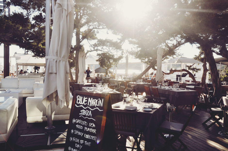 Blue Marlin