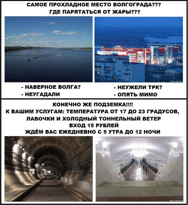 Жара в Волгограде: фото волгоградцев из соцсетей Волгоград, жара, лето, мошка, комары, средства от мошки, смешные картинки