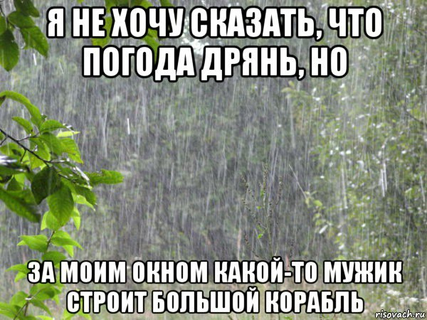 Как видят события города жители: фото волгоградцев из соцсетей Волгоград, лето, жара, асфальт, смешные картинки, ливень, гроза, отпуск, море