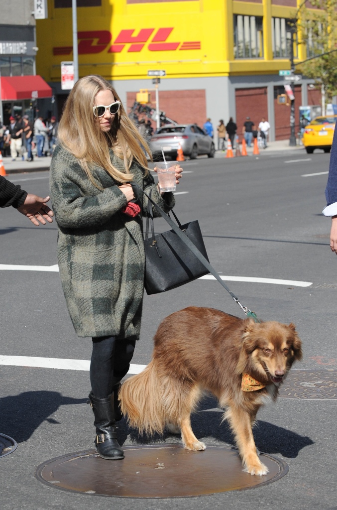 Аманда Сейфрид