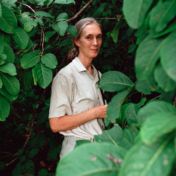 Джейн Гудолл (Jane Goodall), 2011 Джейн Гудолл (Jane Goodall), 2011