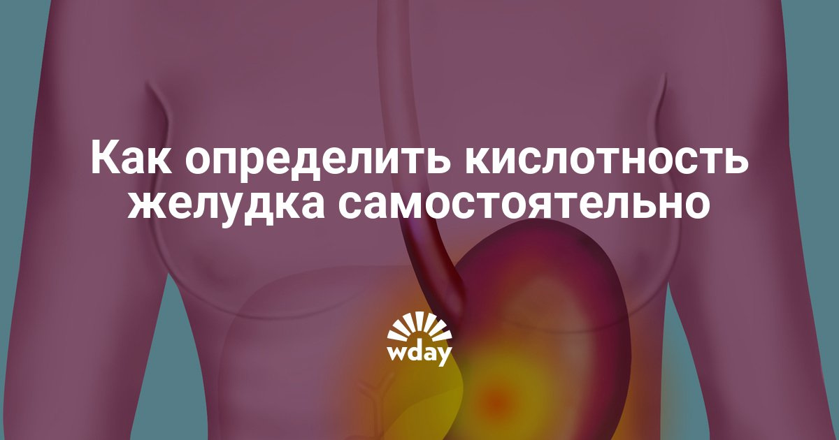 Как узнать свою кислотность желудка в домашних условиях Как узнать свою кислотность желудка в домашних условиях