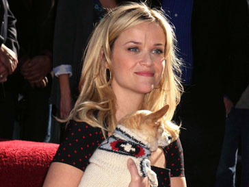 Риз Уизерспун (Reese Witherspoon) Риз Уизерспун (Reese Witherspoon)