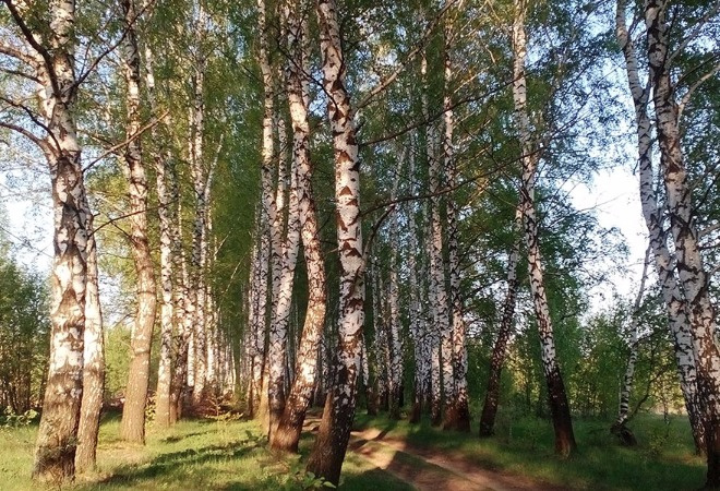 Квартиры в новостройках и коттеджные поселки Тулы Квартиры в новостройках и коттеджные поселки Тулы