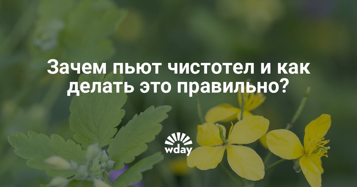Чистотел мазь как сделать 76 Чистотел мазь как сделать 585