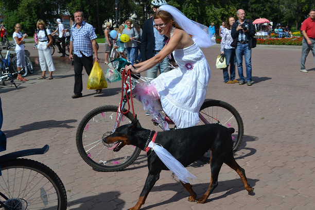 Иркутск. Велоледи на велосипеде Иркутск. Велоледи на велосипеде