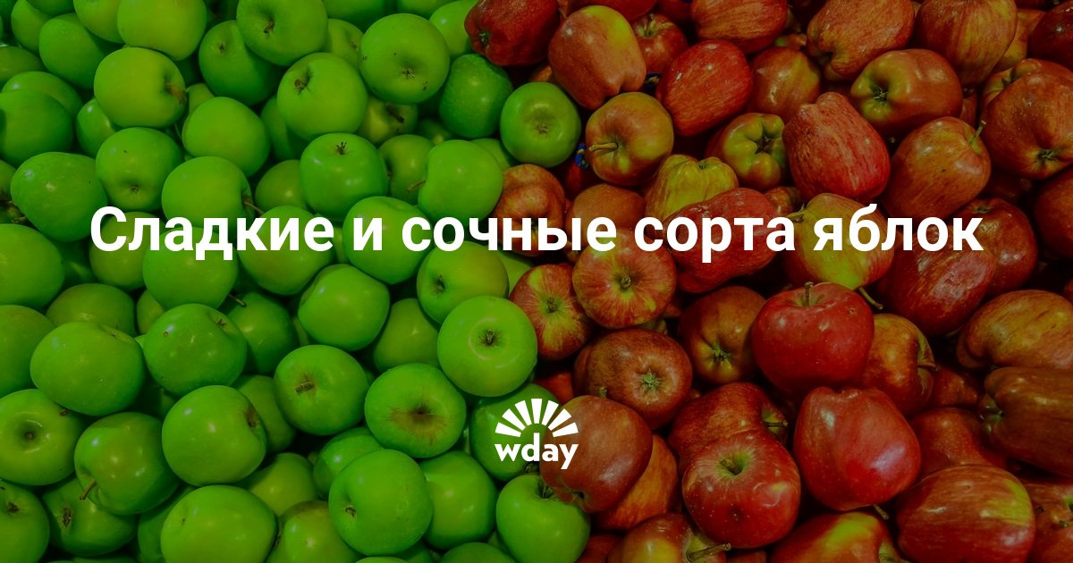 Сладкие сорта яблок и сорта яблок с десертным вкусом плодов для Беларуси Самые сладкие сорта яблонь: выбираем лучшие вкусные плоды