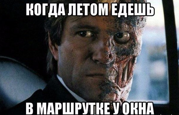 Жара в Волгограде: фото волгоградцев из соцсетей Волгоград, жара, лето, мошка, комары, средства от мошки, смешные картинки