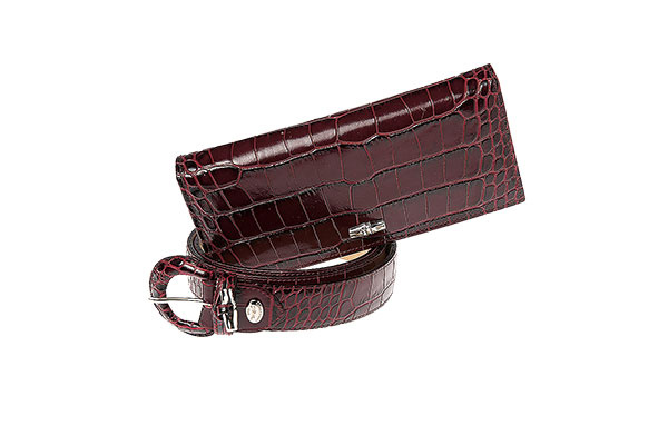 Кошелек и ремень Longchamp Кошелек и ремень Longchamp