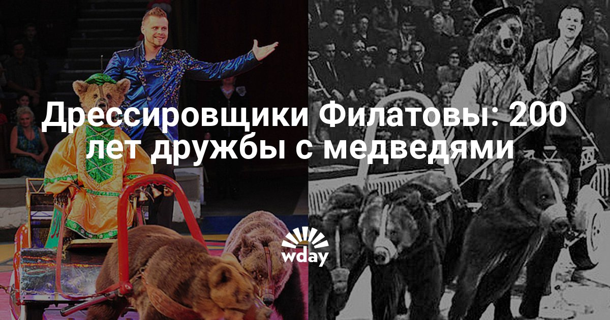 Конкурсы с медведями Конкурсы с медведями