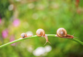 Философия slow life: куда торопиться?