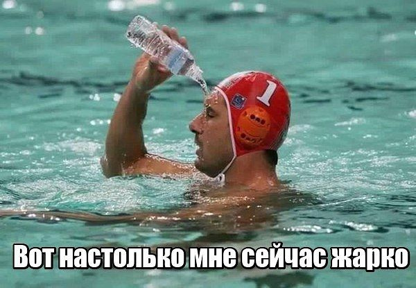 Жара в Волгограде: фото волгоградцев из соцсетей Волгоград, жара, лето, мошка, комары, средства от мошки, смешные картинки