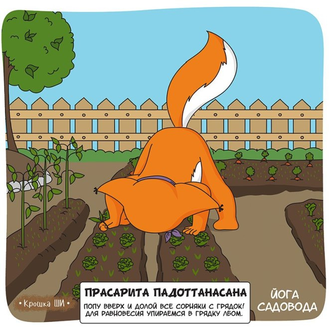 Крошка Ши: йога садовода Крошка Ши: йога садовода
