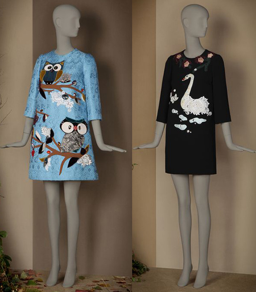 D&G D&G