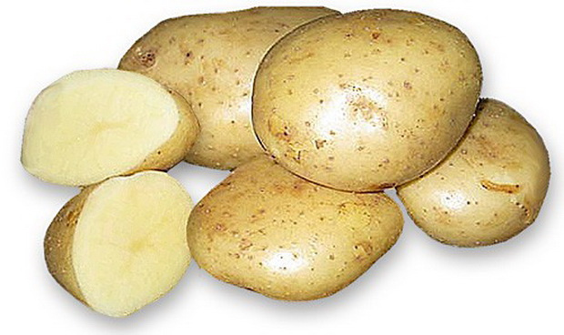 Картофель Картофель