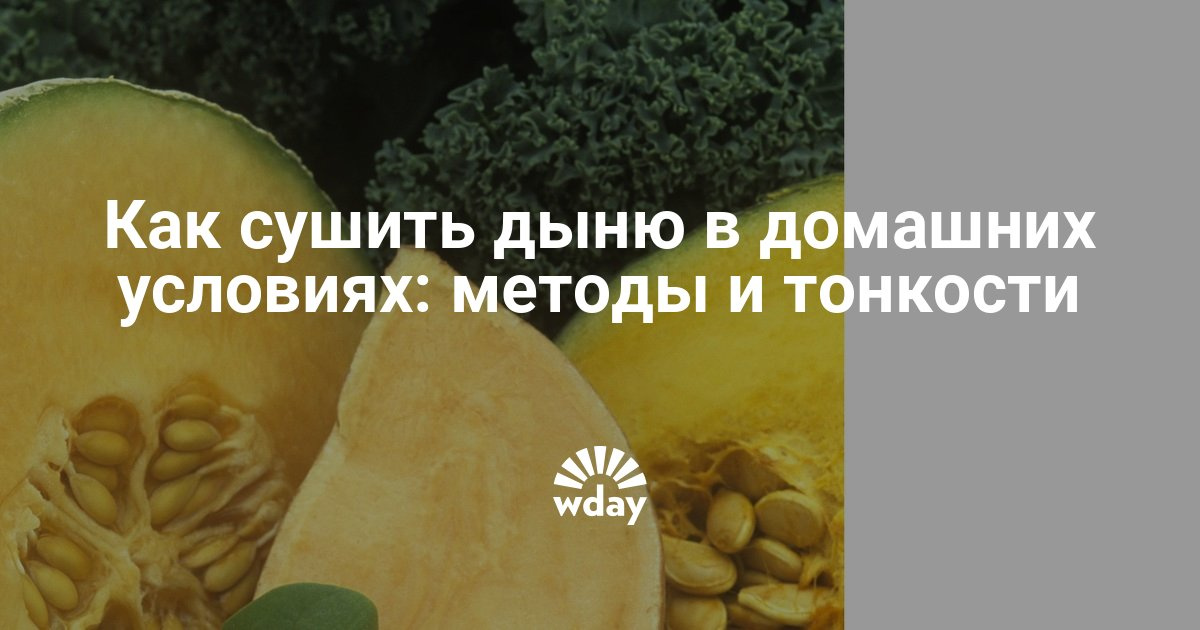 Сушеная дыня в домашних условиях 889