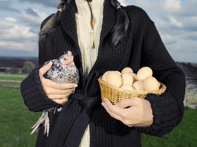 Органические продукты Органические продукты