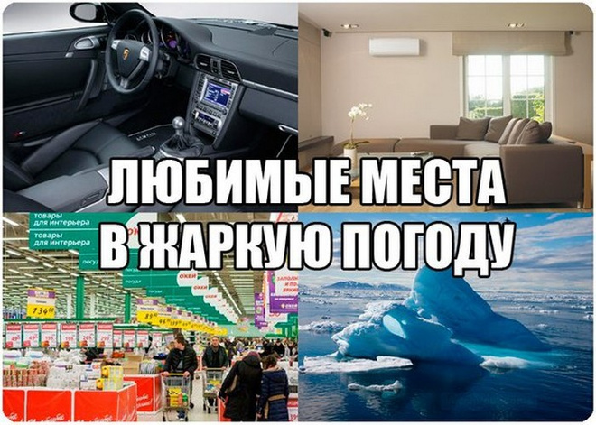 Жара в Волгограде: фото волгоградцев из соцсетей Волгоград, жара, лето, мошка, комары, средства от мошки, смешные картинки