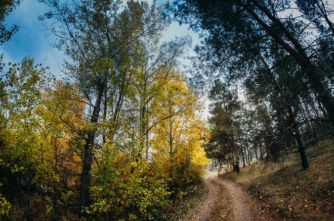 Тольятти, красивые фото Тольятти, виды Тольятти фотографы Тольятти, красивые фото Тольятти, виды Тольятти