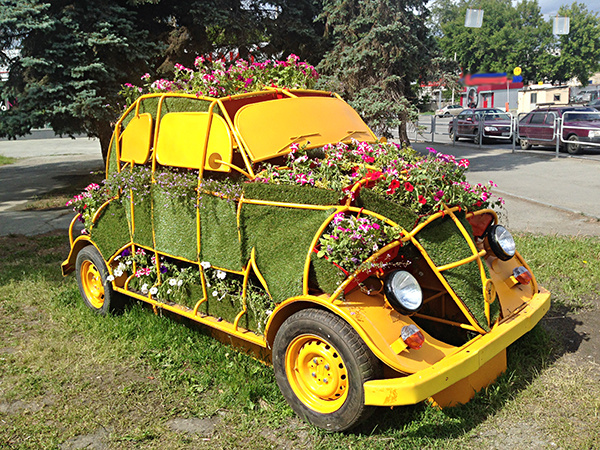 Клумбы 7 событий