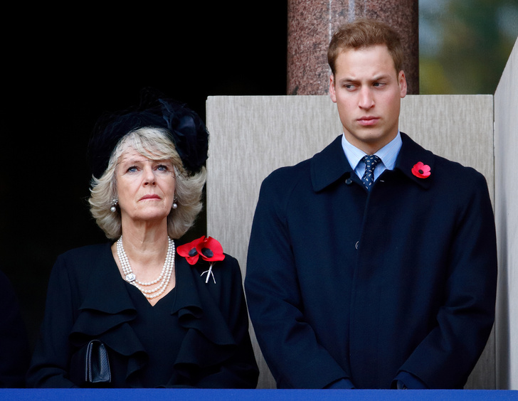Герцогиня Камилла пришла в ужас от агрессивности принца Уильяма, когда стала женой Чарльза и вошла в семью