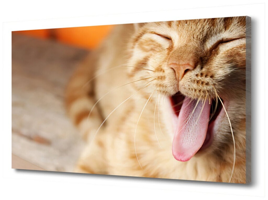 Картина на холсте «Кот зевает»