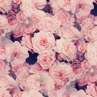 Аватарка Вета