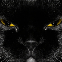 Аватарка Кот