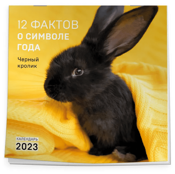 Календарь «12 фактов о символе года. Черный кролик»