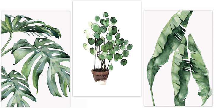 Постеры с тропическими растениями