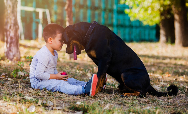 Маленькие и меньшие: 8 милейших видео о детях и собаках