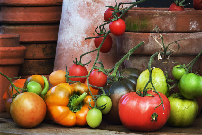 как хранить чеснок как хранить чеснок