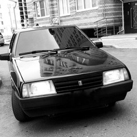 Аватарка мишка плутишка