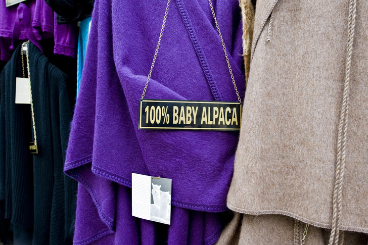 Палто из альпаки