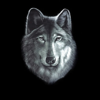 Аватарка ♛ВОЛК ♛