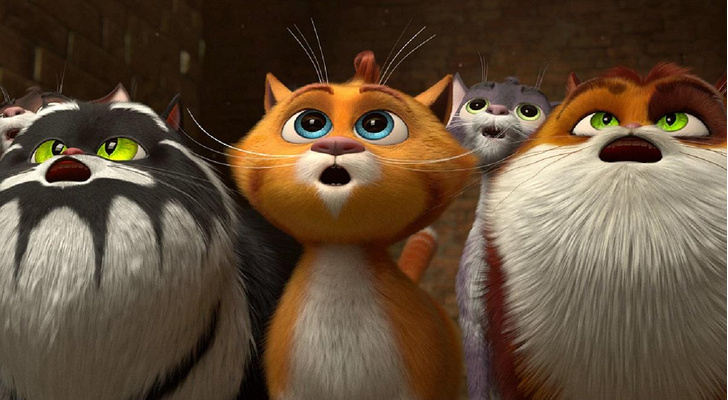 5 причин посмотреть мультфильм «Коты Эрмитажа» — мнение юного критика