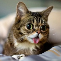 Аватарка kate1666