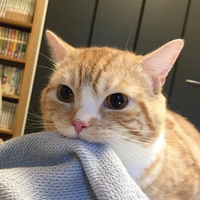 Аватарка Нина