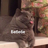 userpic__Ася