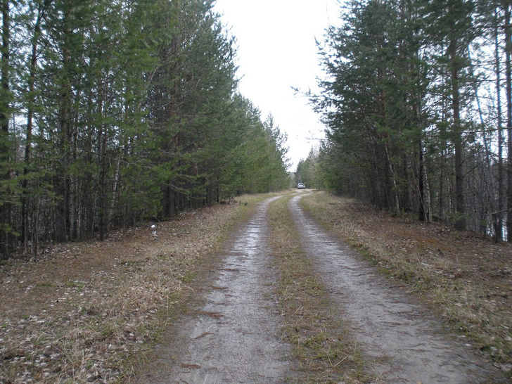Осенняя дорога