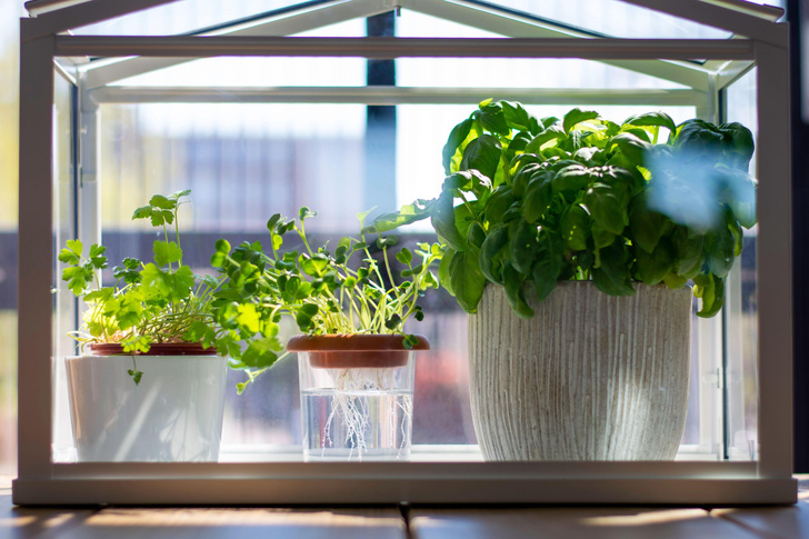 Для дачи и балкона: лучшие аксессуары для садоводства