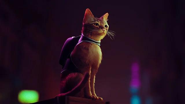 Игра дня: «Stray», где милый котик путешествует по закоулкам города будущего