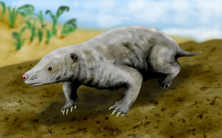 В тени динозавров: 5 необычных млекопитающих мезозойской эры