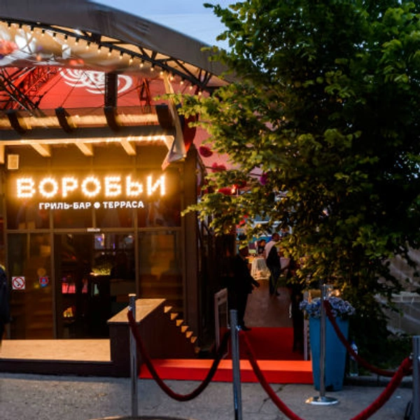 Терраса "Воробьи" | Источник: Косицын Антон