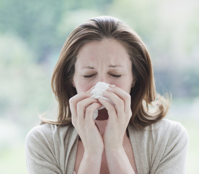 Фото №1 - Лечение аллергии народными средствами: как победить недуг самостоятельно