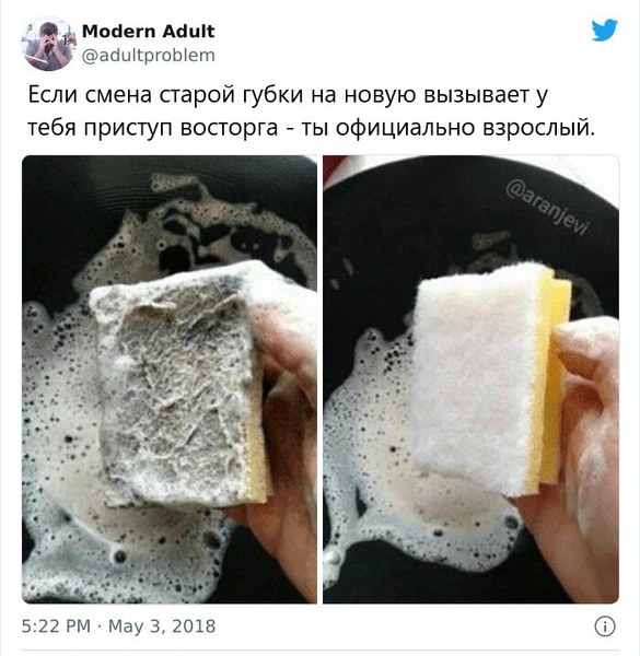 Лучшие шутки и мемы про взрослую жизнь