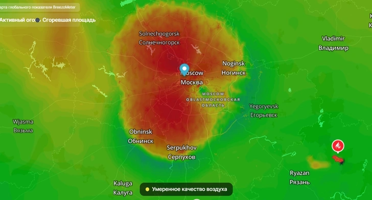 Одышка, кашель и бессонница. Жители Москвы страдают из-за смога, который пришел из Рязани