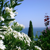 Аватарка jevpatorija