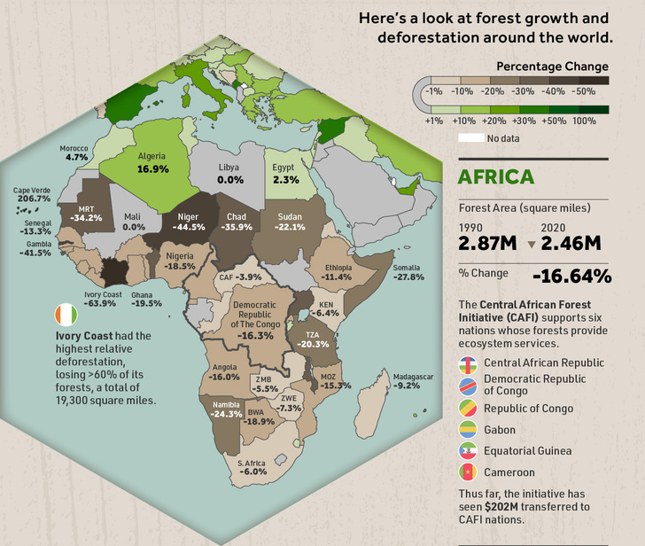 Фото №2 - Инфографика: как изменилась площадь лесов в мире за 30 лет